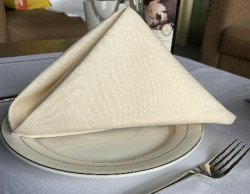 Table Linen Napkin- 17 x 17 in. Cotton