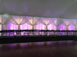 Trimmer20920websize 1748019313 Sheer Drape Backdrops
